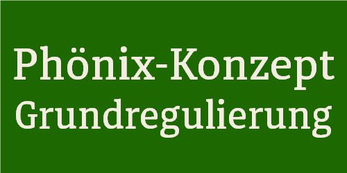 Phönix-Konzept Grundregulierung